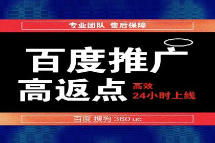 成功案例揭秘：SEM托管公司的策略与技巧